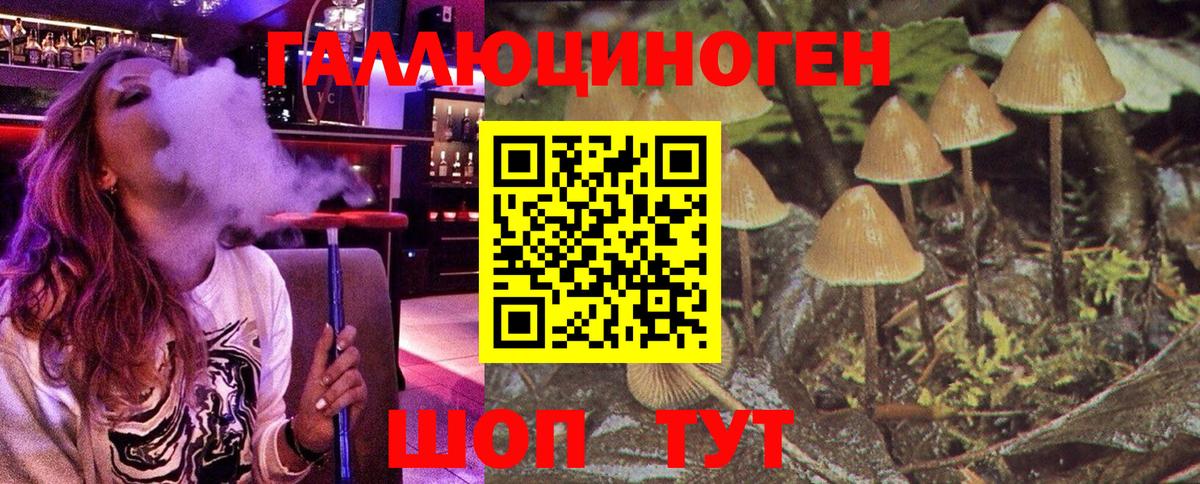 Псилоцибиновые грибы Psilocybine cubensis  Вход с VPN  Кострома  Псилоцибиновые грибы Magic Shrooms 